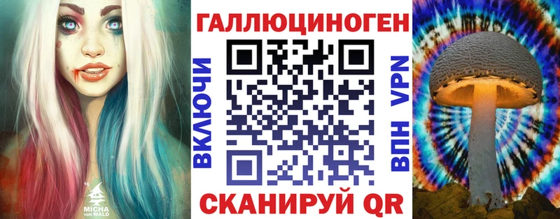 KRAKEN   Усолье  Галлюциногенные грибы Psilocybe  наркошоп 